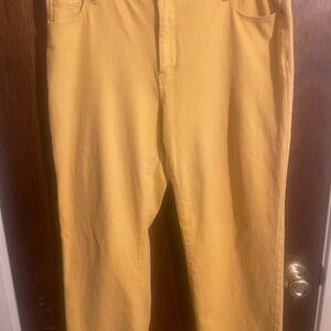 Coldwater Creek Classic Fit Pants in Mustard